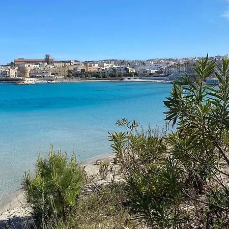 Stella Di Mare *